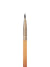 Signature Precise Liner Brush - Coloured Raine Cosmetics